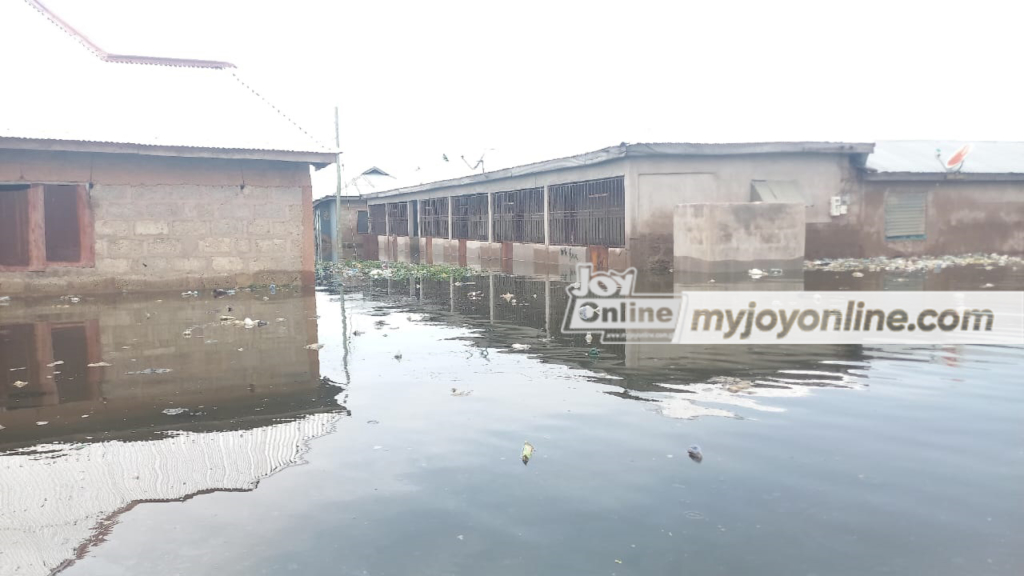 Akosombo Dam spillage: Okudzeto Ablakwa commends Joy FM for coverage of victims' plight