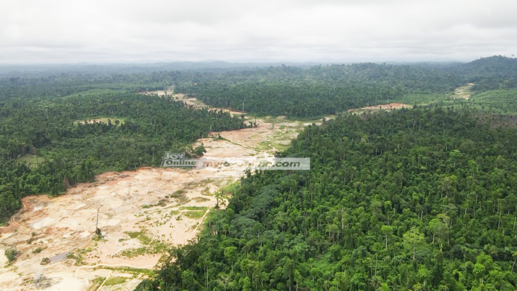 Illegal mining degraded forest 1