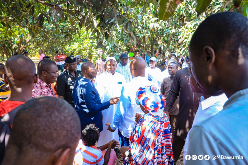 Don't be distracted by recent happenings in the Party - Bawumia to NPP faithful