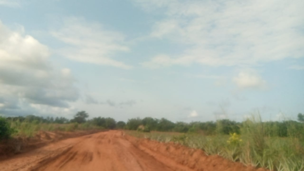 Businessman leads construction of 8.9km farm access roads in Ketu South