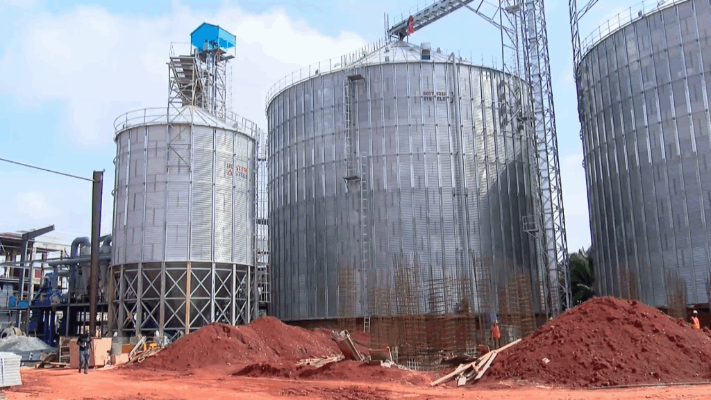 Gov't to start poultry project with 4 million birds for 50 large-scale farmers