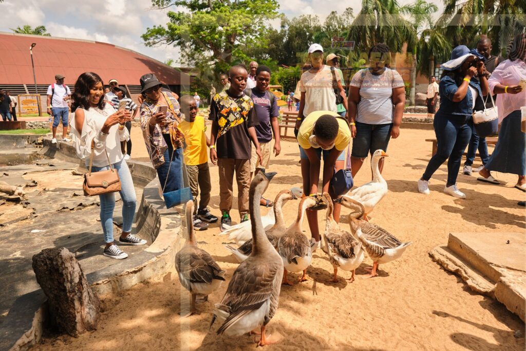 Two days, one epic adventure: 'Joy Safari Experience 2026' leaves patrons in unforgettable ecstasy