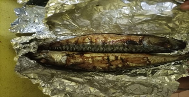 Older mangrove woods for smoking fish contain high levels of cancer-causing agents – KNUST study