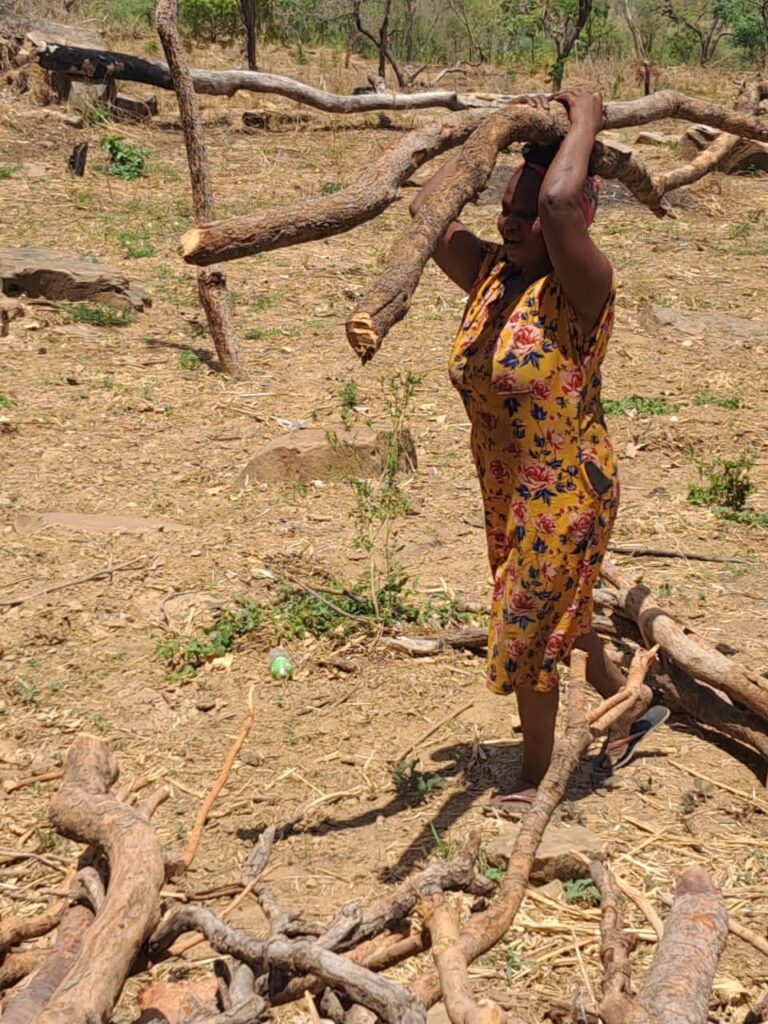 Flood survivors in North East region demand non-partisan action on Pwalugu Dam Project