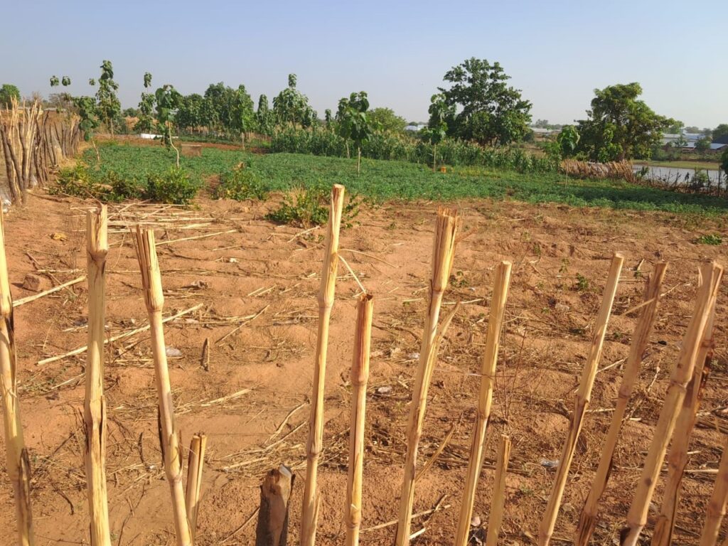 Flood survivors in North East region demand non-partisan action on Pwalugu Dam Project