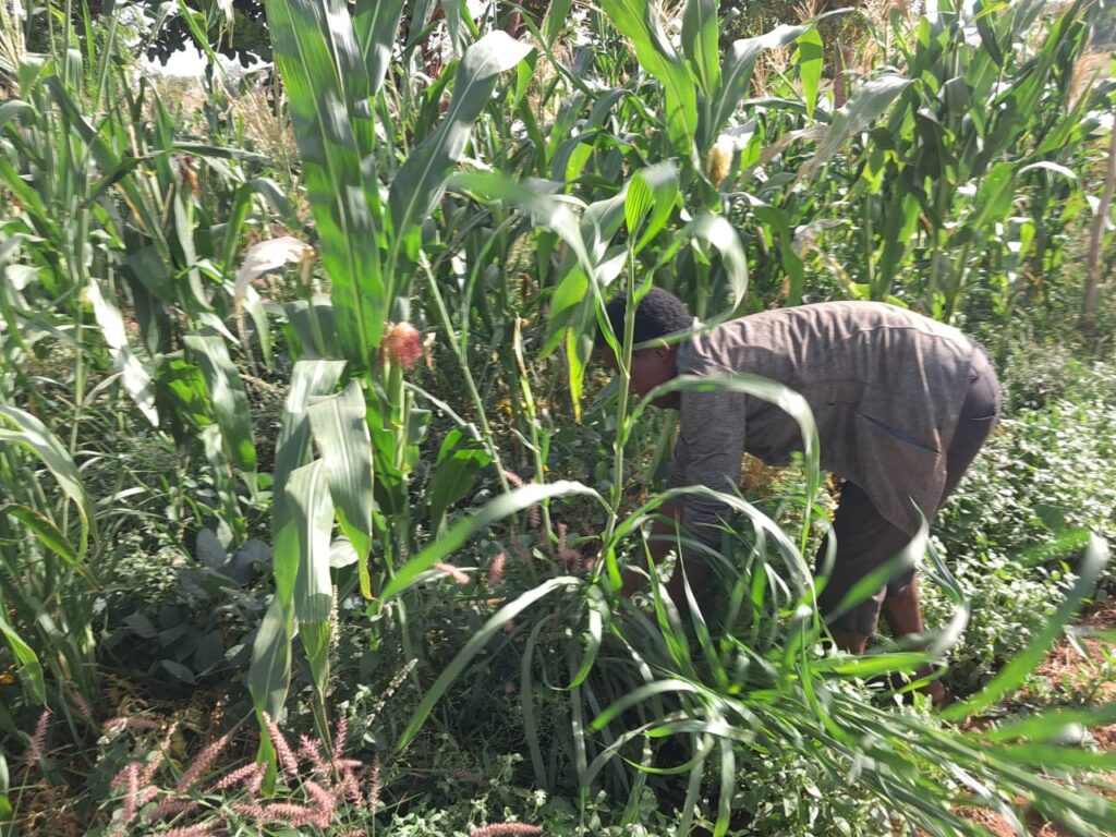 Flood survivors in North East region demand non-partisan action on Pwalugu Dam Project