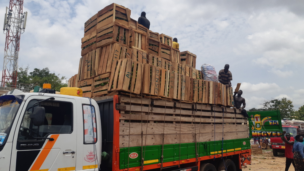 Truck load of Avocado bound for the Northern Region