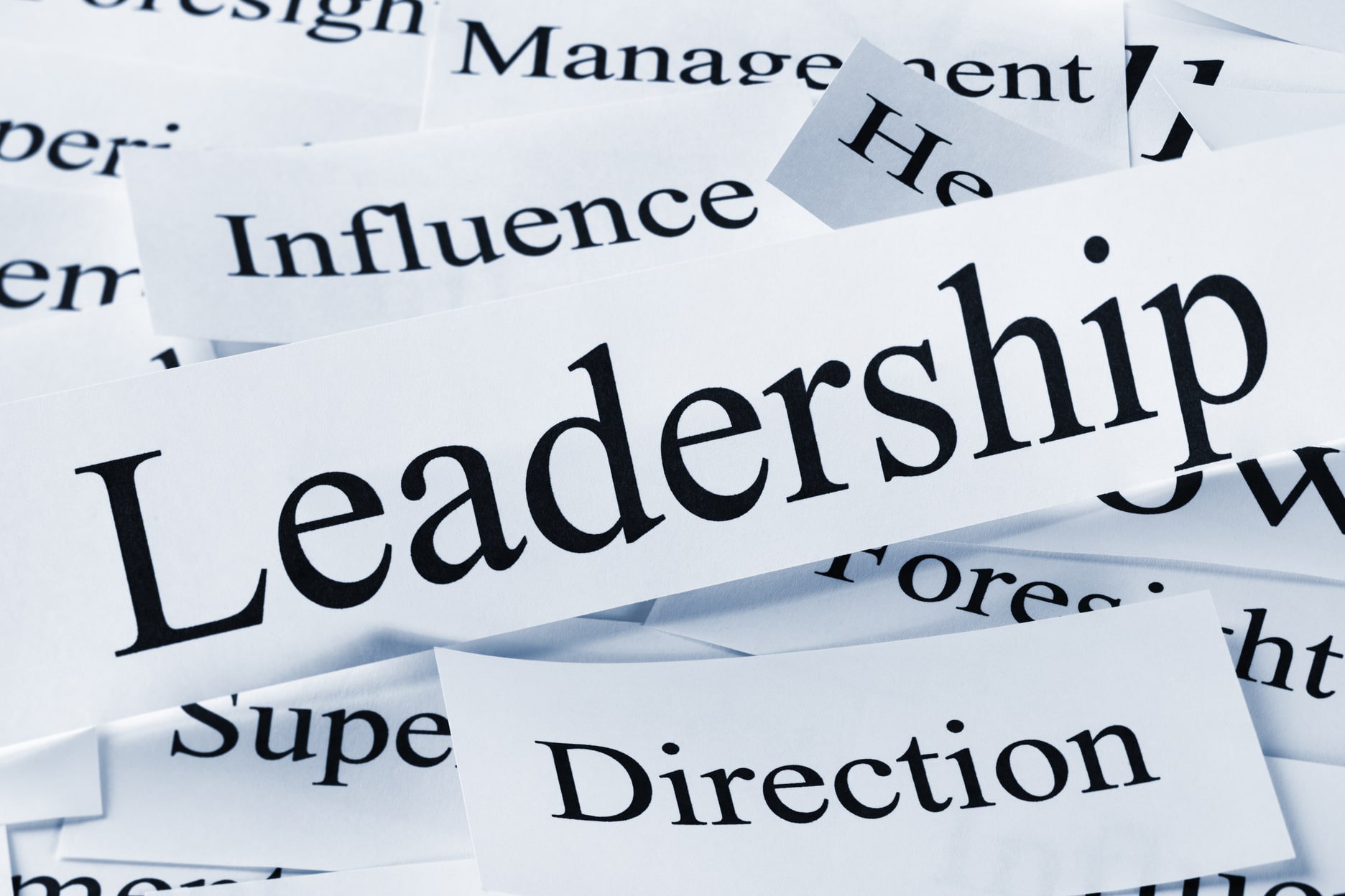 leadership logo