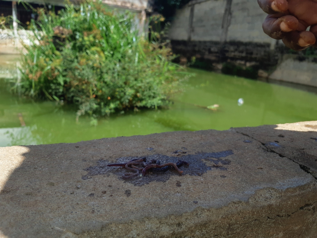 A flooded house turned 'fish pond' at Aboabo