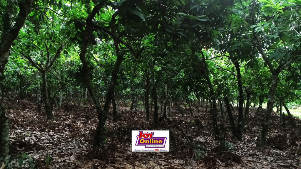 Opanin Yaw Agyei myjoyonline.com