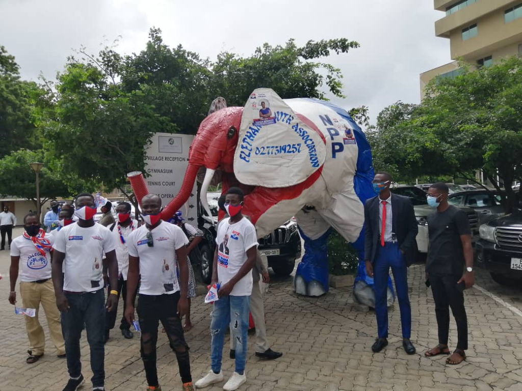 NPP's acclamation of Akufo-Addo in pictures