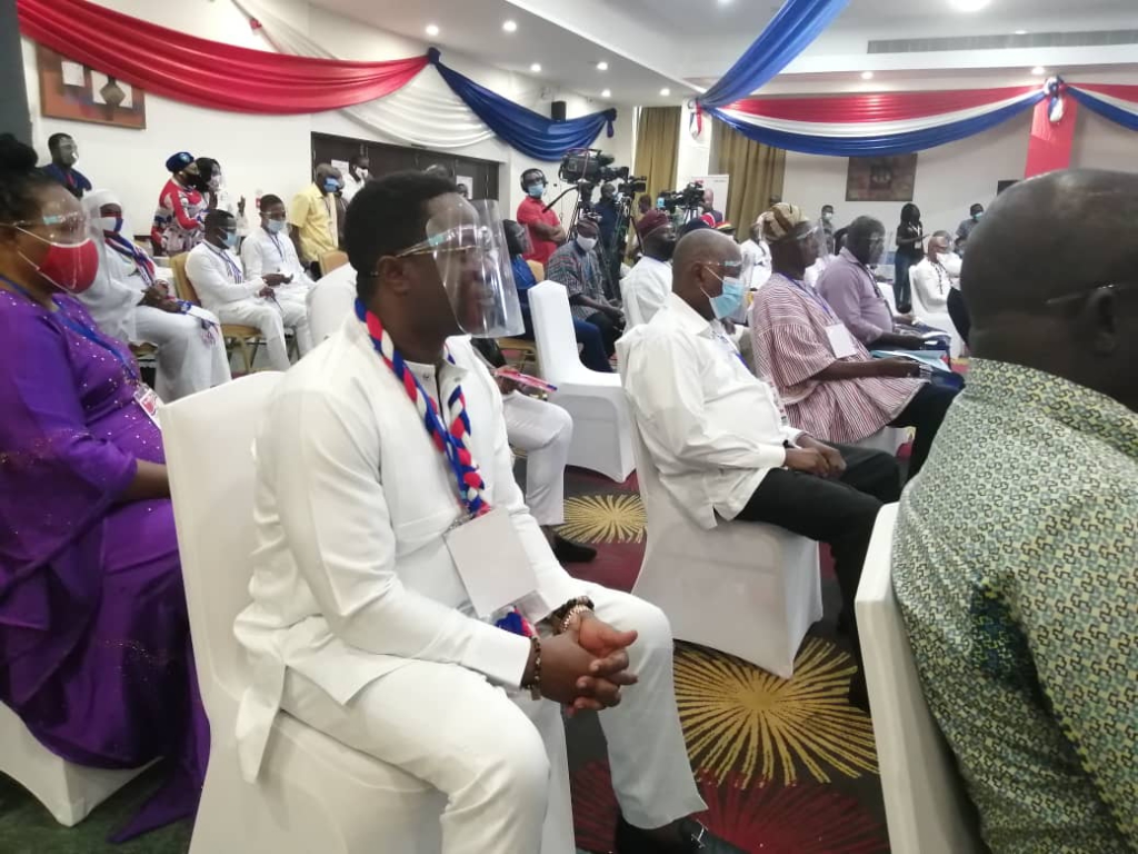 NPP's acclamation of Akufo-Addo in pictures