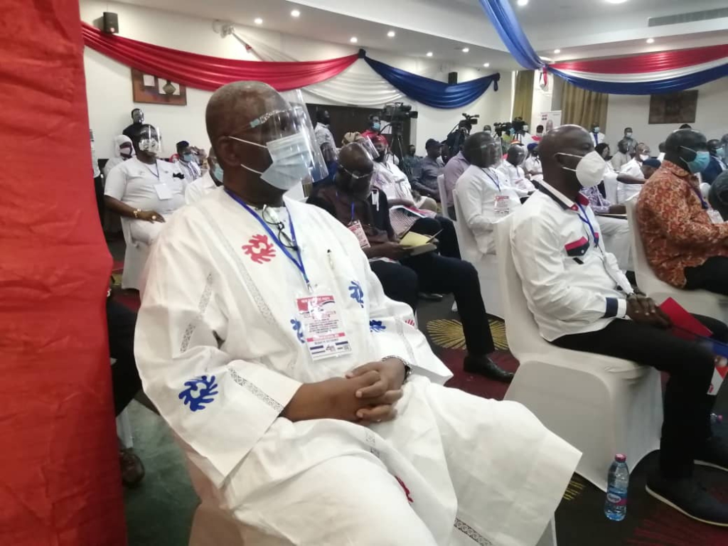 NPP's acclamation of Akufo-Addo in pictures