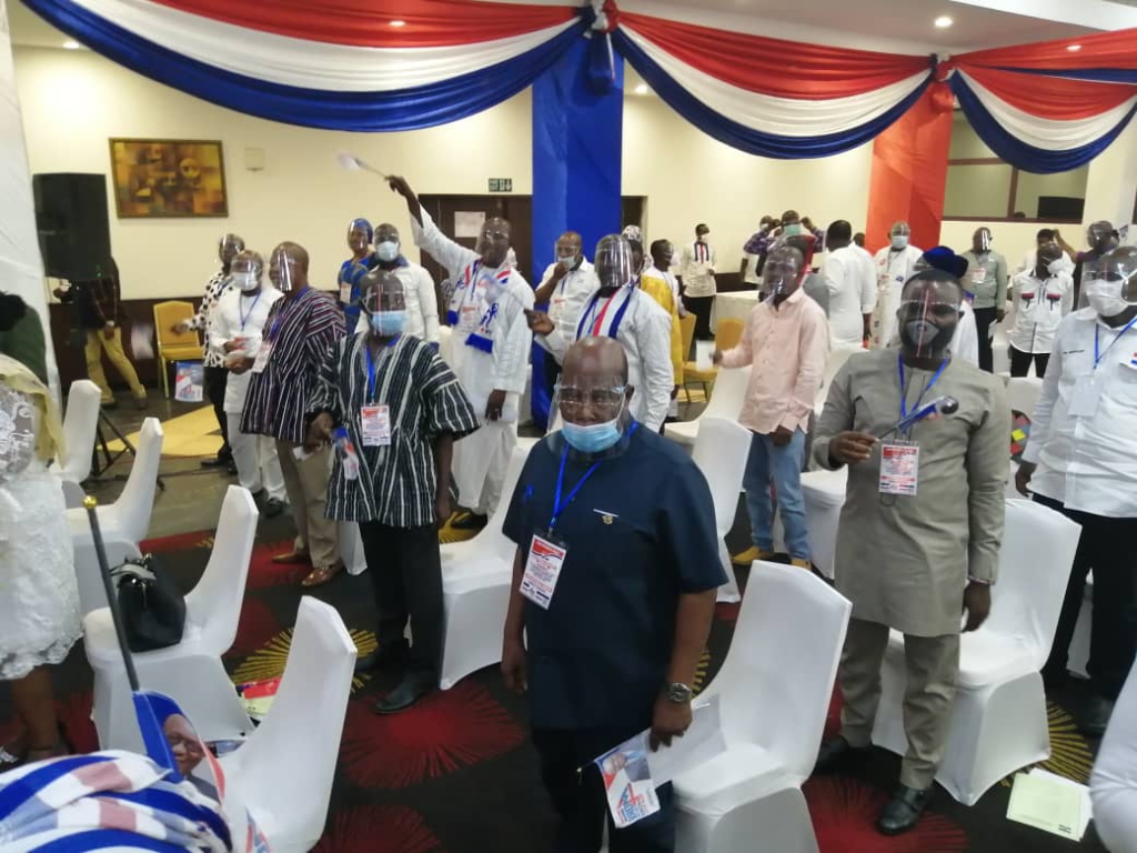 NPP's acclamation of Akufo-Addo in pictures