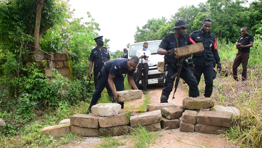 Police discovers illegal cannabis cultivation enclave in Boso