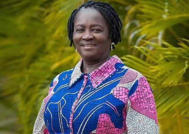 Ghanaian-American candidate for US Congress applauds Mahama’s veep choice