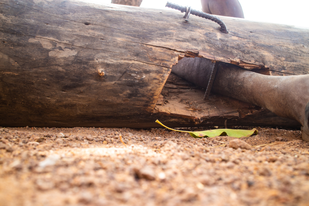 Shackled by logs: Ordeal of Ghana’s mentally ill