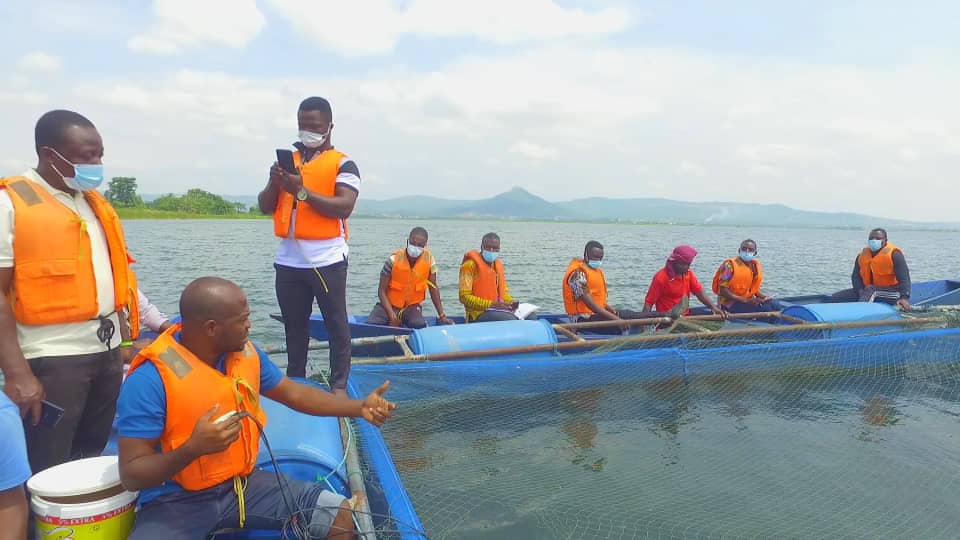 Bright Yeboah: Ghana's Aquaculture industry set on a recovery path after a double blow - Myjoyonline.com
