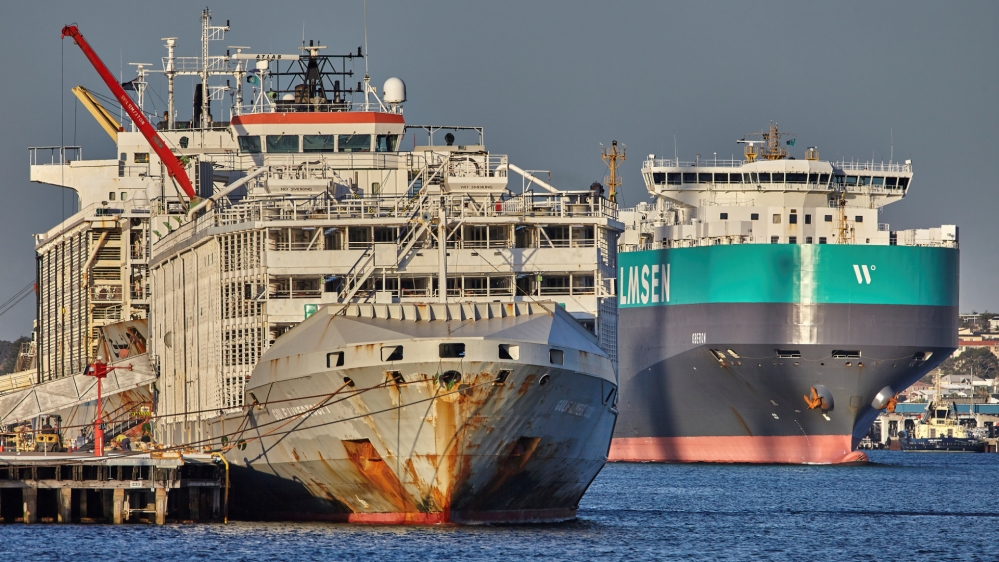 Ship carrying 42 crew, thousands of cattle feared lost off Japan