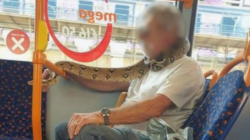 Snake used as face mask on bus