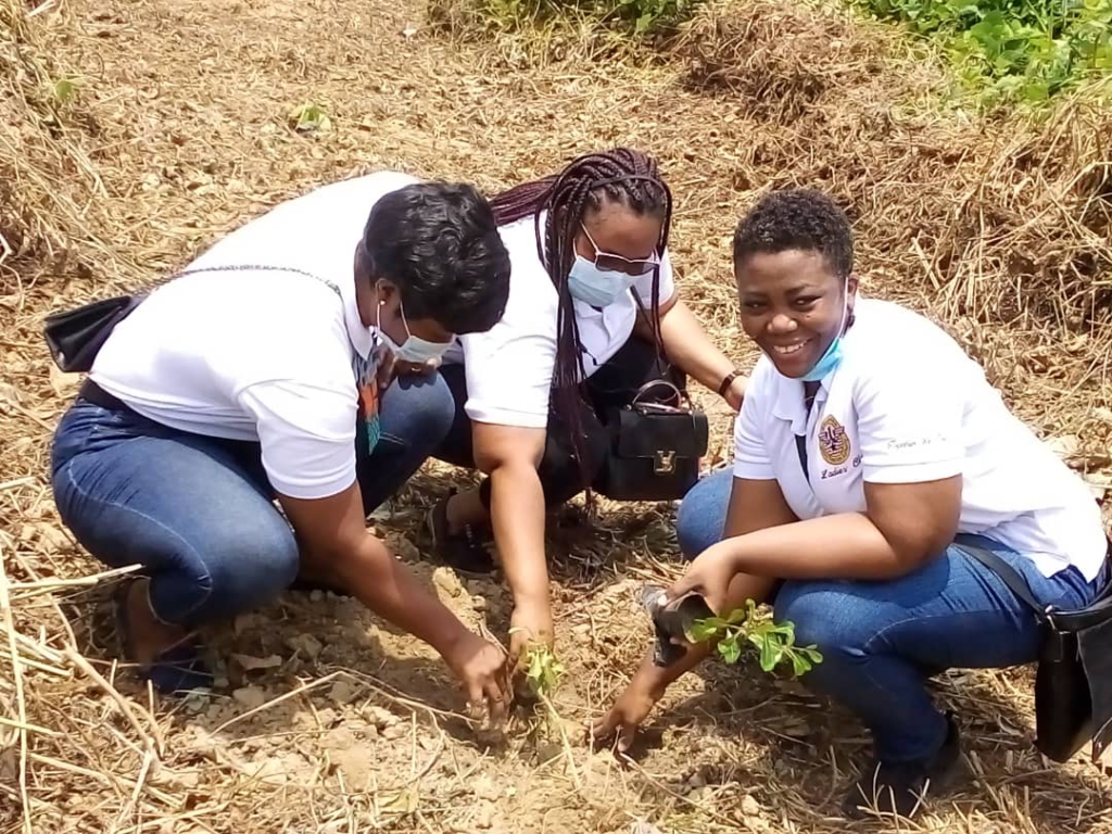 Ghana Tourism Ladies Club undertake tree planting exercise at Bunso Eco Park Ghana Tourism Ladies Club undertake tree planting exercise at Bunso Eco Park