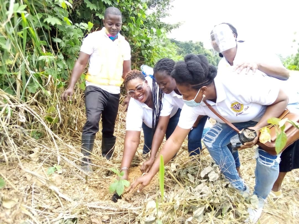 Ghana Tourism Ladies Club undertake tree planting exercise at Bunso Eco Park Ghana Tourism Ladies Club undertake tree planting exercise at Bunso Eco Park