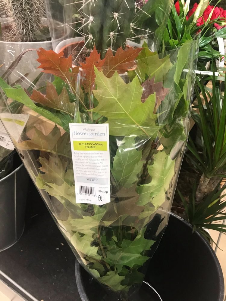 Supermarket chain comes under fire for selling bouquet of autumn leaves for $7.5