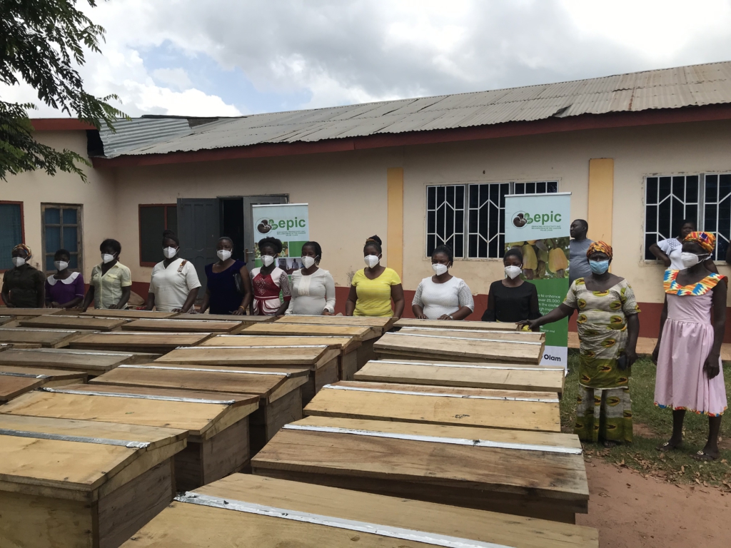 OLAM Ghana Cashew improving livelihood of female Cashew Farmers