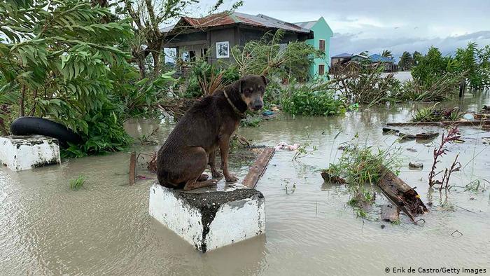 Vietnam readies mass evacuation as Typhoon Molave looms