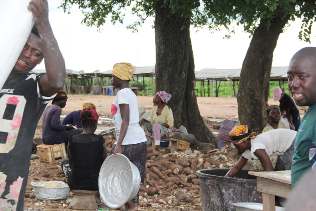 2 university students support their father's grinding mill business to employ 200