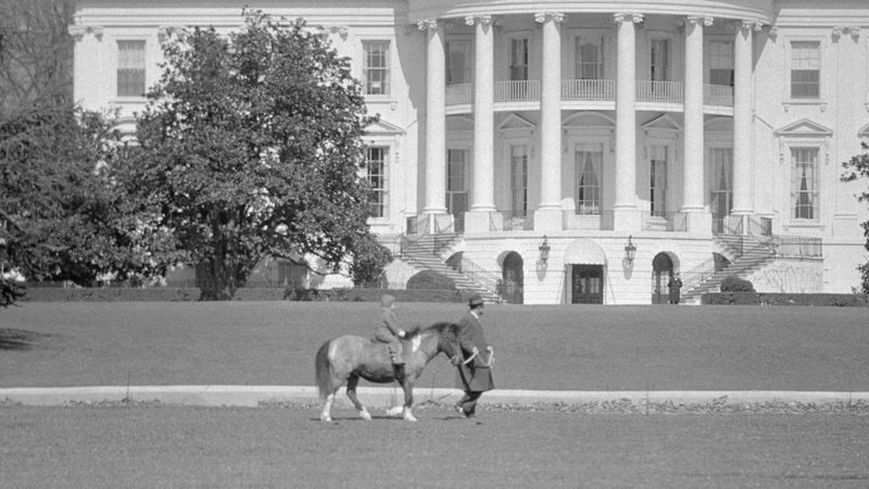 US election: Champ, Major and other White House pets