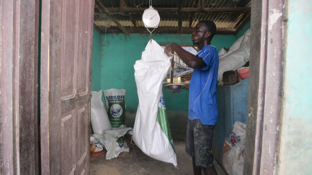 Cocoa pod husk: The new super feed?