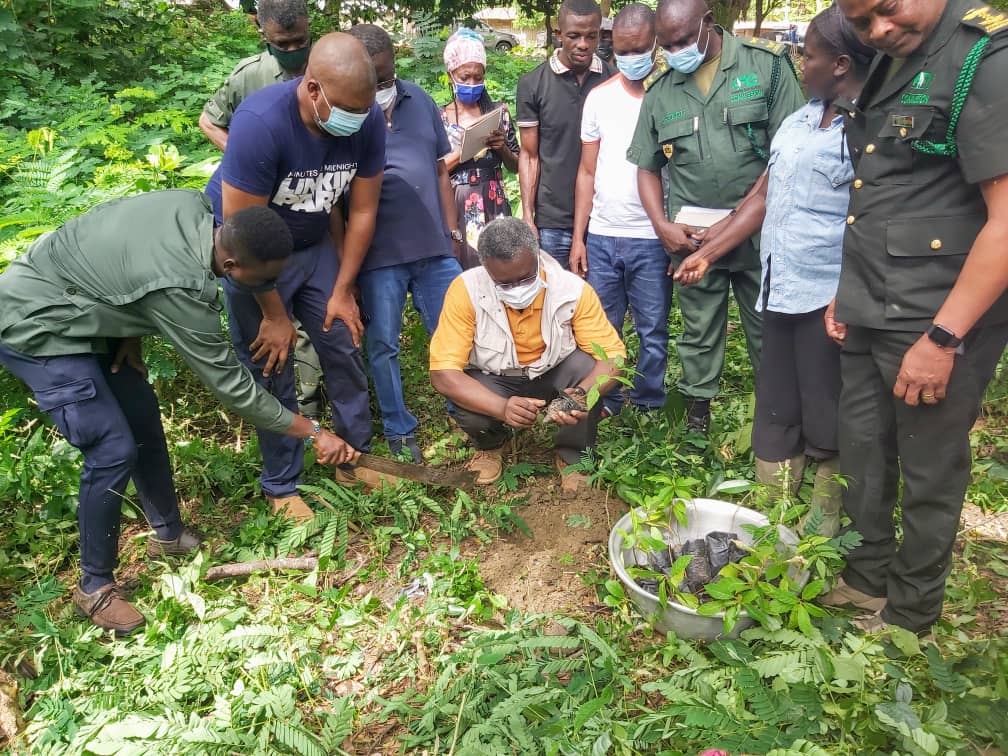 Asantehene pledges support for responsible environmental practices