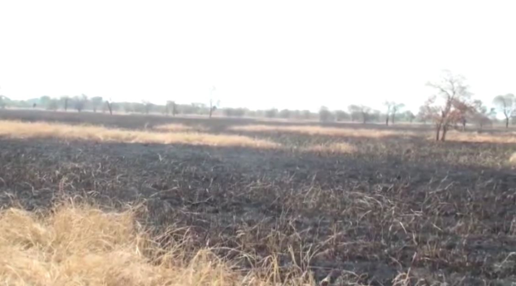 Northern Regional NDC Chairman's 413-acre rice farm allegedly set ablaze in Savannah Region