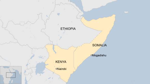 Somali government cuts diplomatic ties with Kenya