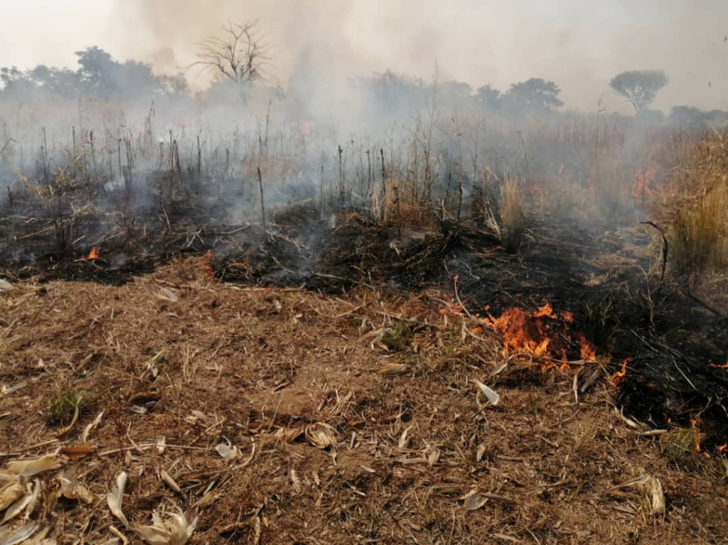 About 300 acres of crop farm burnt in Northern Region