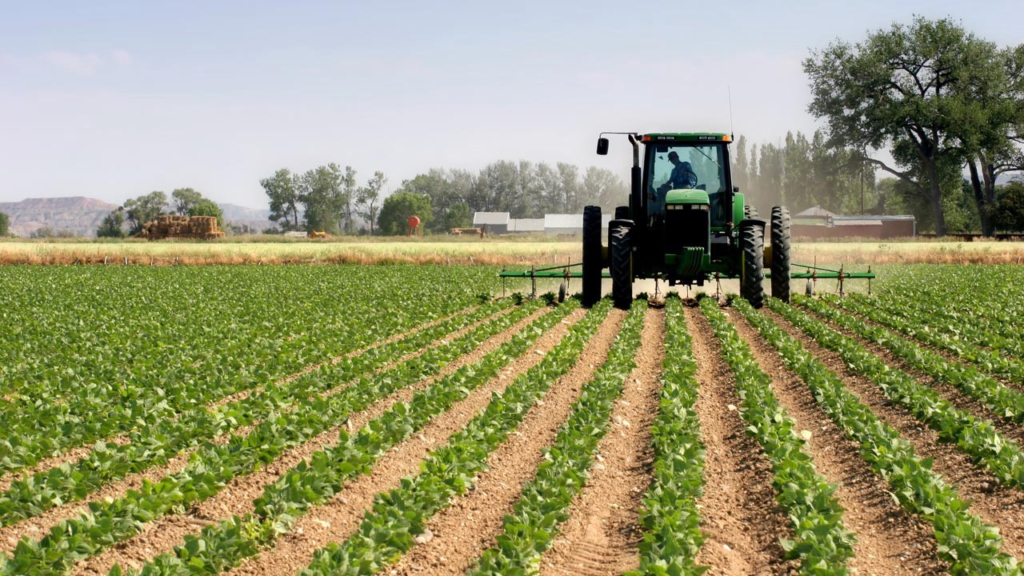 Ghana’s horticultural sector: A blooming force for inclusive growth and a 24-Hour Economy – MyJoyOnline