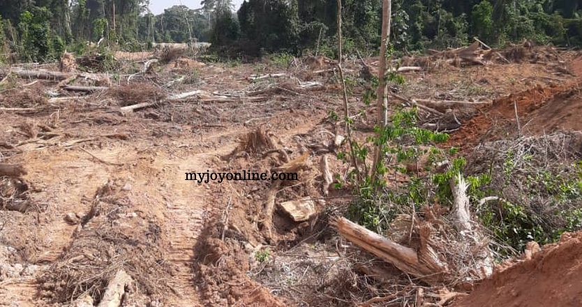 #NoToGalamsey: Failure to deal with 'galamsey' would lead to dire consequences - Prof. Gatsi
