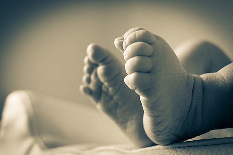 baby baby feet black and white child feed wallpaper thumb