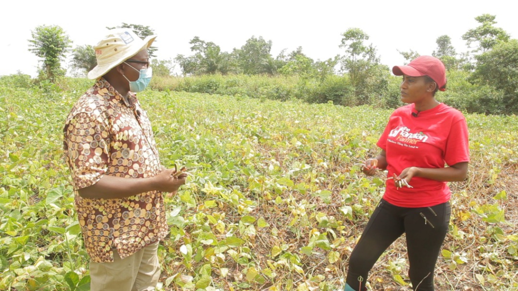 Recruit more extension officers Municipal Director tells government