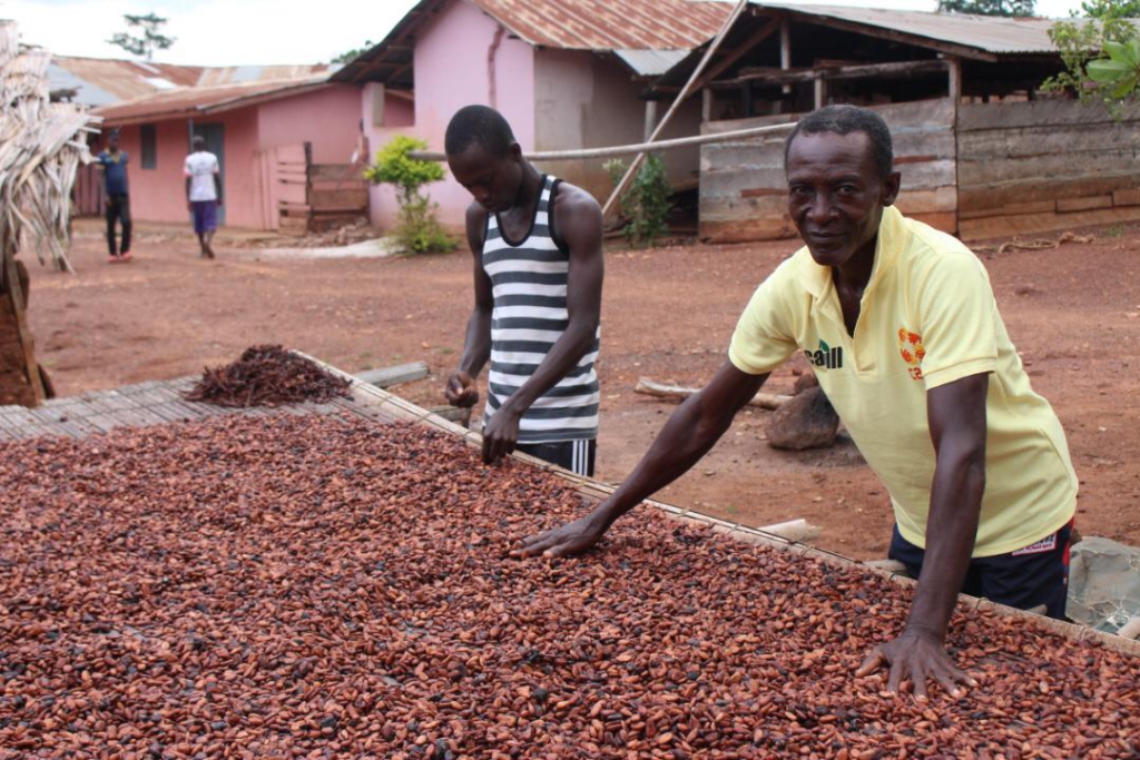 CARE and Cargill celebrate decade of impact in West Africa cocoa industry in new report
