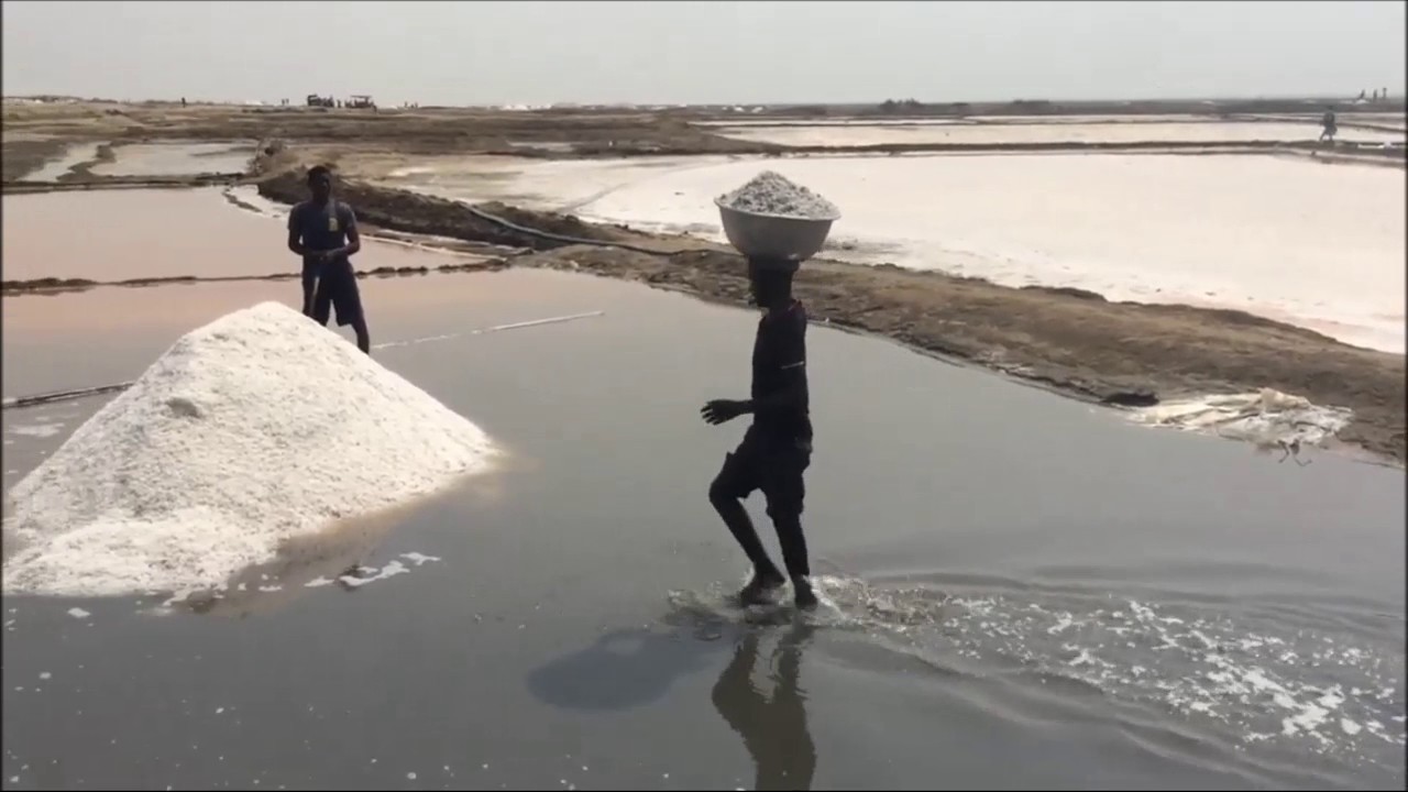 Invest in salt mining industry Salt dealers call on government