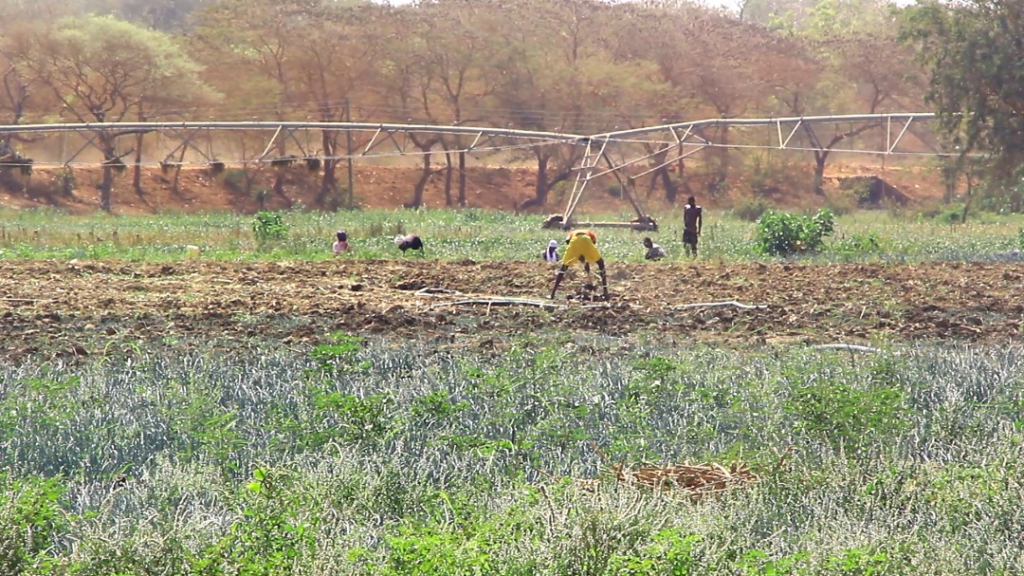 Farmers return to field after floods left them with unprecedented cost Farmers return to field after floods left them with unprecedented cost