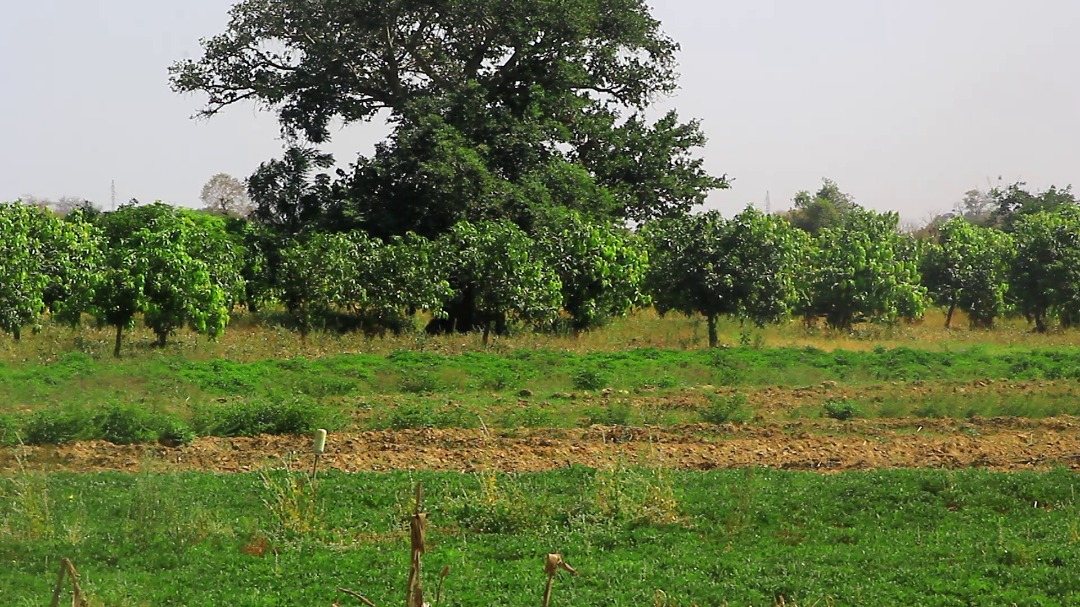 WhatsApp Image 2021 02 12 at 11.54.45 1