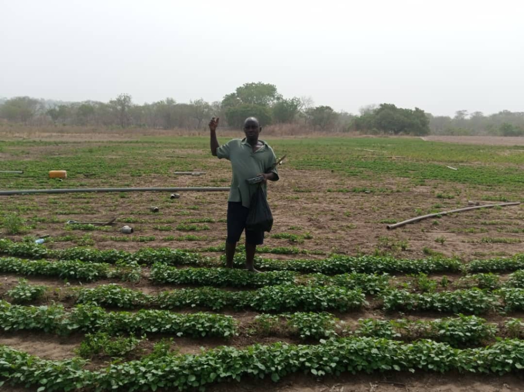 Police to evict some 50 vegetable and rice growers from Damongo Agric Dam