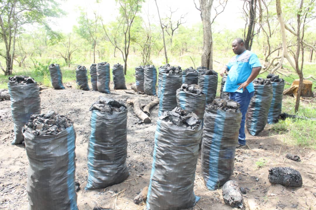 Savannah regional charcoal producers, buyers lament insufficient timeline to halt activities