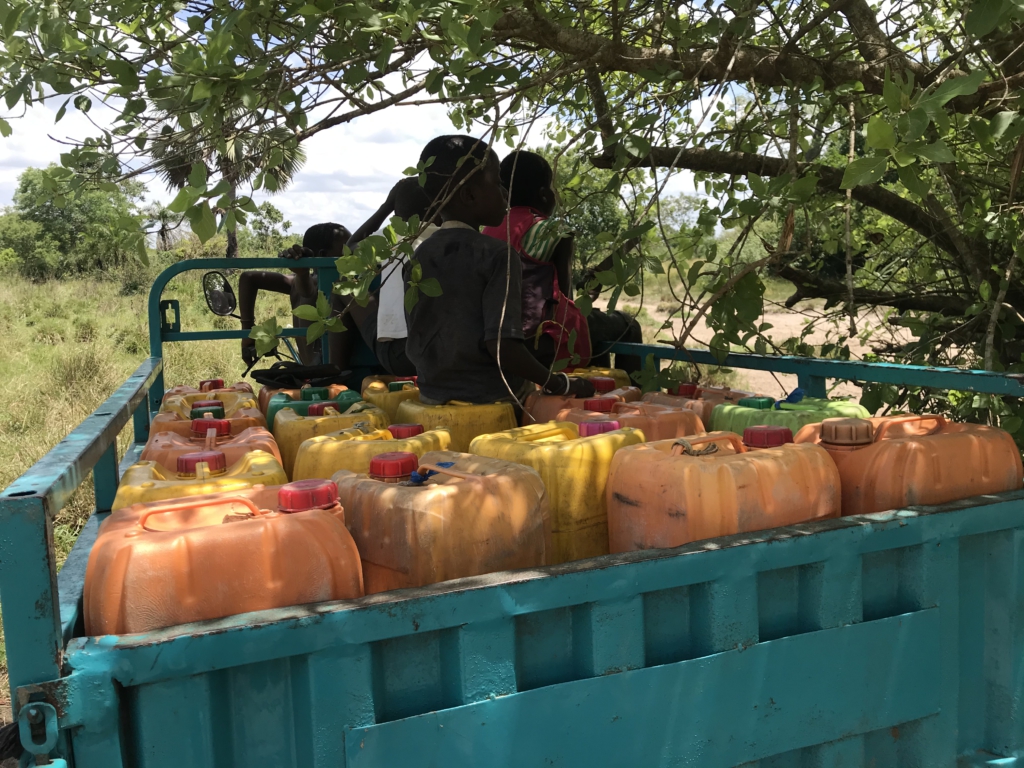 Srekpe and surrounding communities share water sources with animals