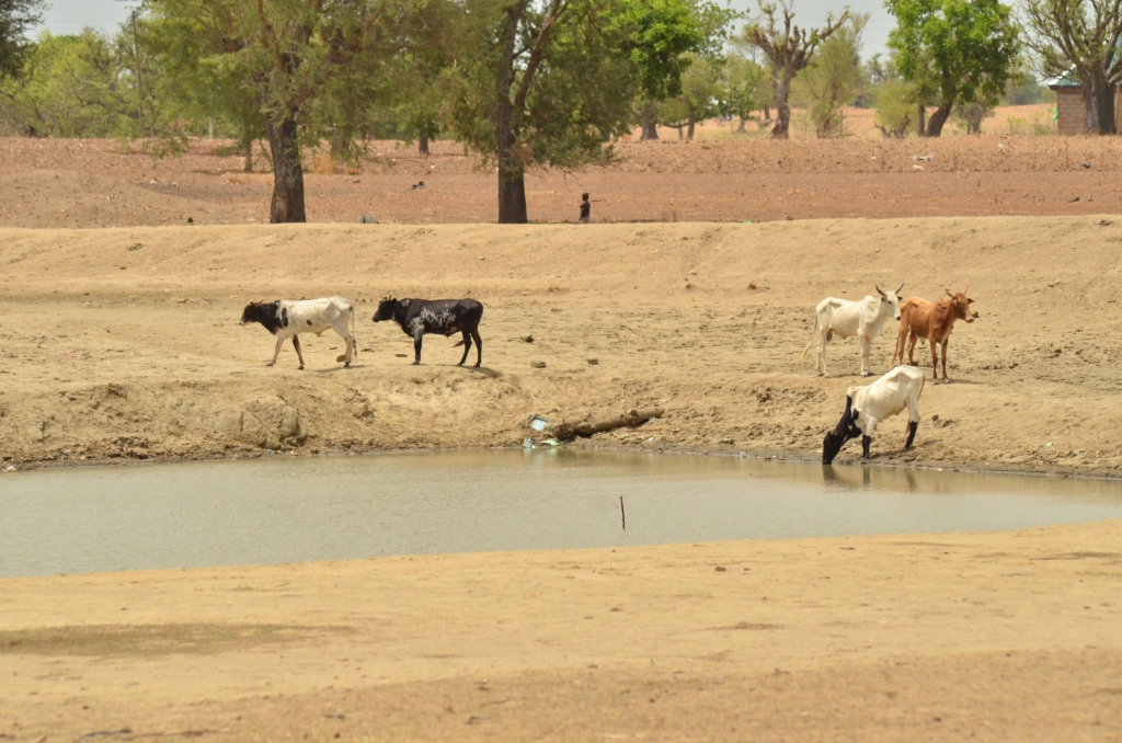 'One Village, One Dam': Government yet to improve on poorly constructed dams