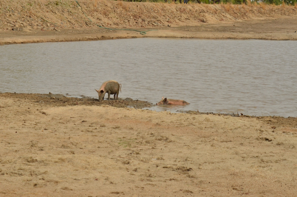 'One Village, One Dam': Government yet to improve on poorly constructed dams