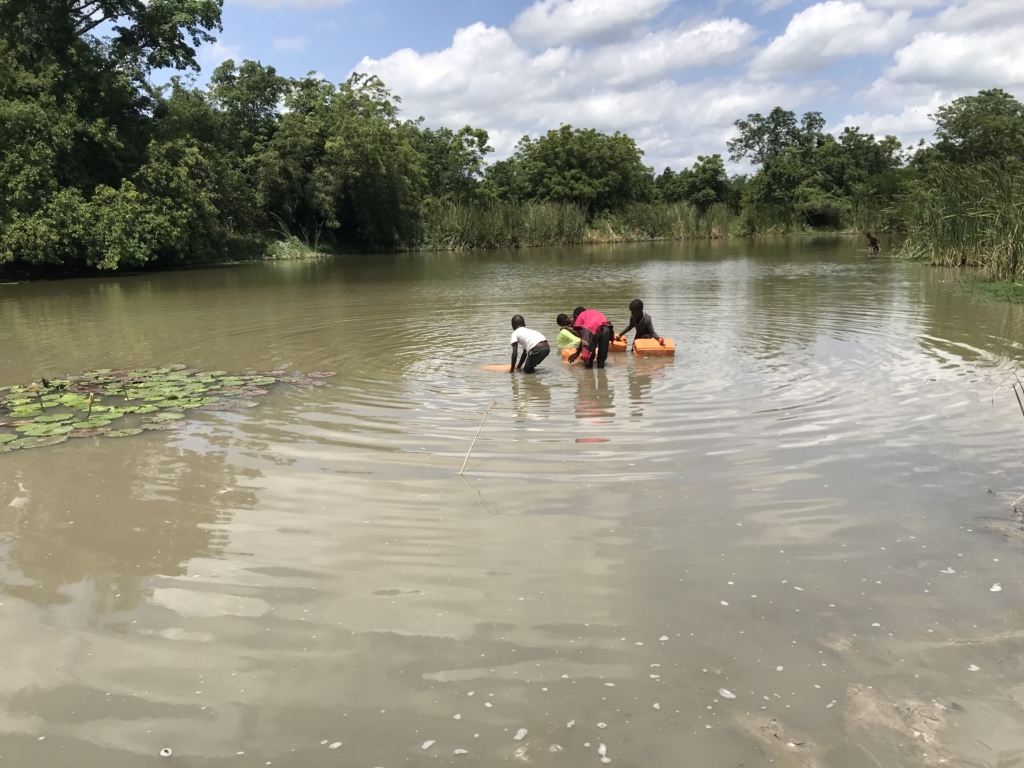 Srekpe and surrounding communities share water sources with animals